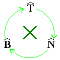 Cyclic:  T --> N --> B --> T