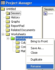 Renaming the worksheet