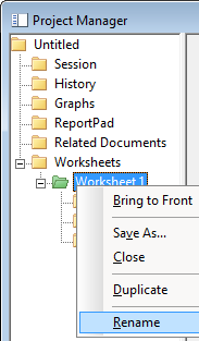 Renaming the worksheet