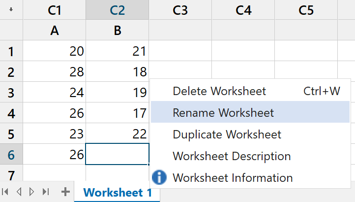 Renaming the worksheet