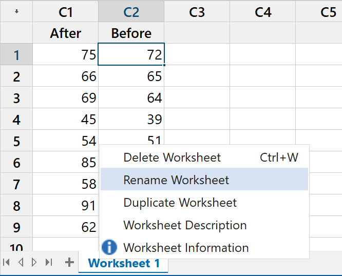 Renaming the worksheet