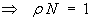 rho N = 1