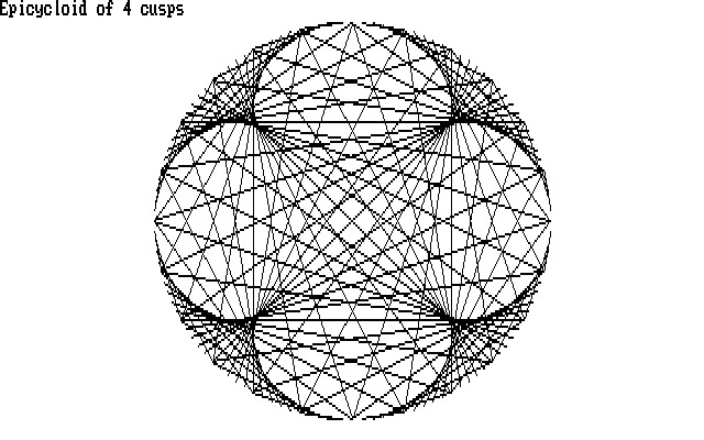 4 cusps