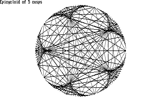 5 cusps